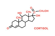 Cortisol hormone molecular formula