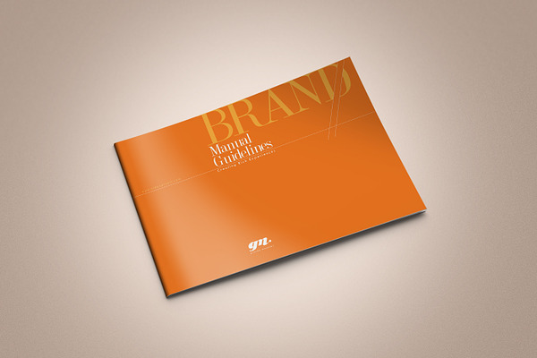 The Original Orange – Brand Book