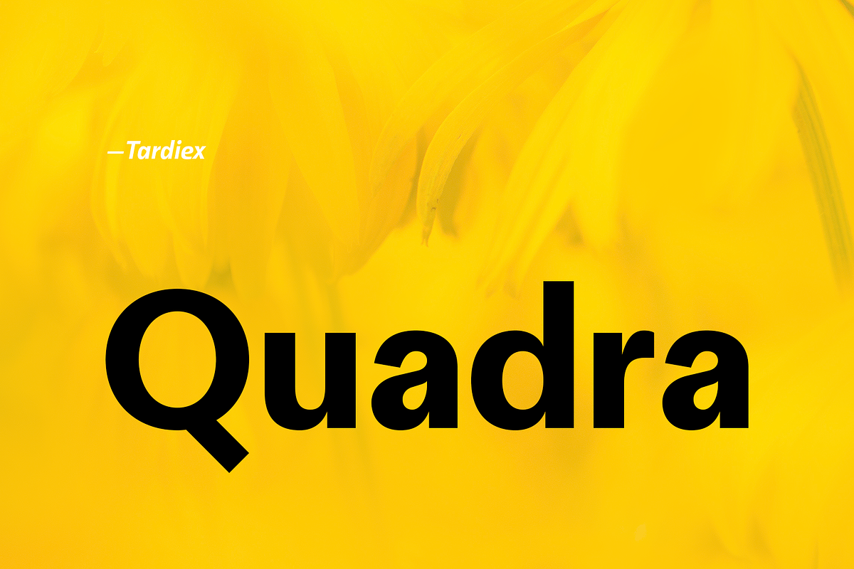 Quadra - Family Grotesk in Display Fonts - product preview 8