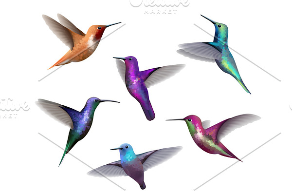 Flying hummingbirds. Little colored