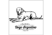 Dogo Argentino Dog - vector