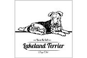 Lakeland Terrier Dog - vector