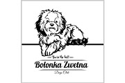 Bolonka Zwetna Dog - vector