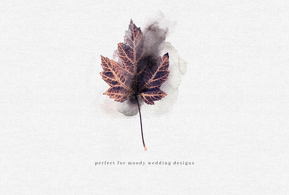 Autumn's Goodbye Graphic Set in Illustrations - product preview 2
