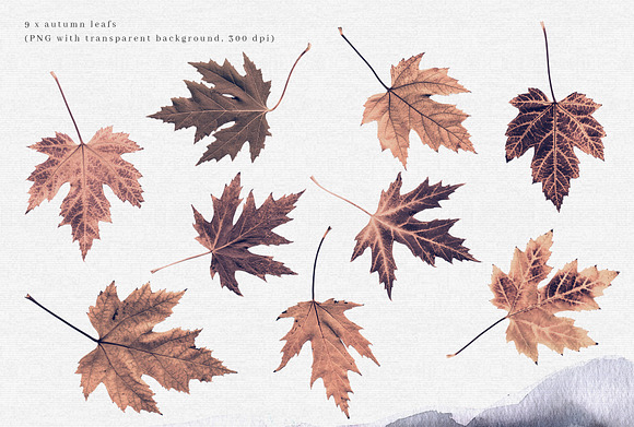 Autumn's Goodbye Graphic Set in Illustrations - product preview 4