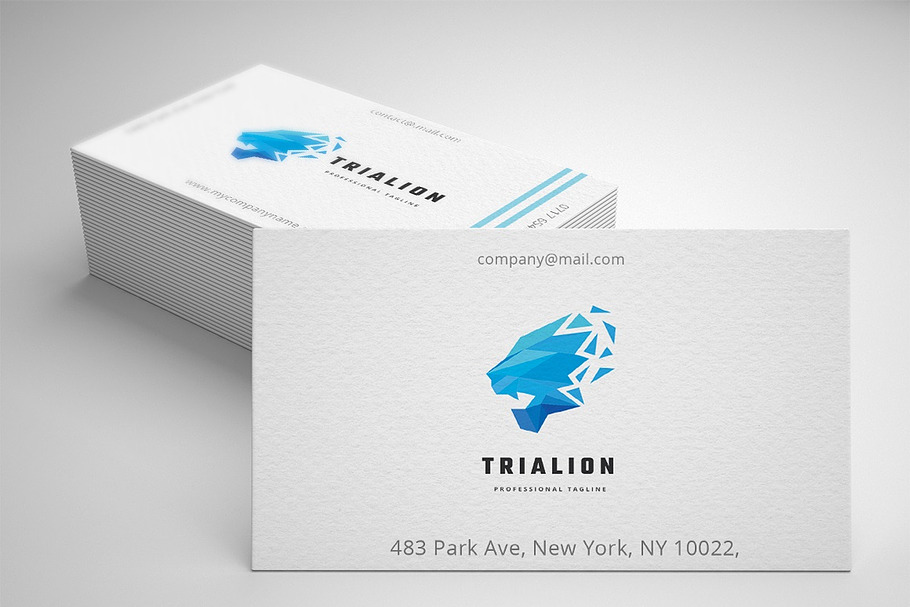 Triangles Lion Logo in Logo Templates - product preview 8