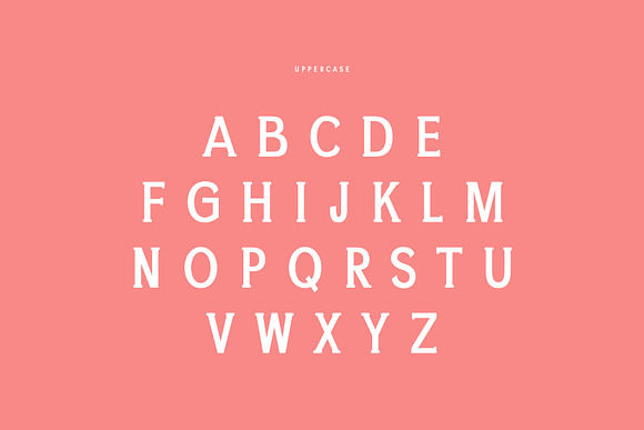 Chelina Slab Serif Font Family in Slab Serif Fonts - product preview 1