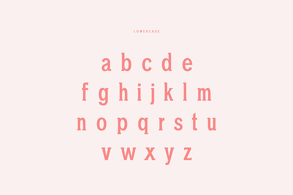 Chelina Slab Serif Font Family in Slab Serif Fonts - product preview 2