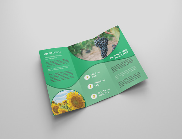 Agriculture Tri-fold Brochures in Brochure Templates - product preview 1