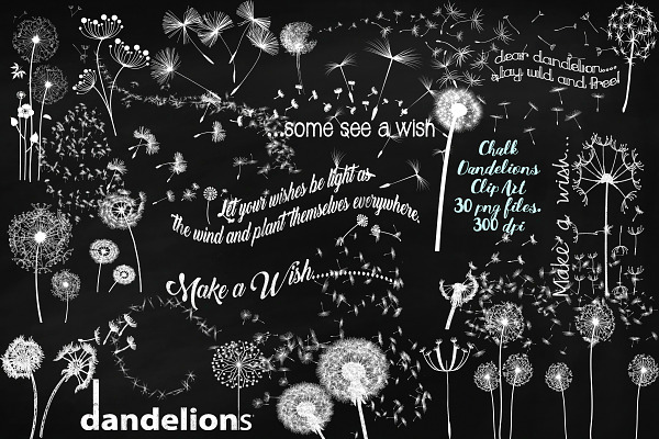Chalk Dandelions & Overlays Clip Art