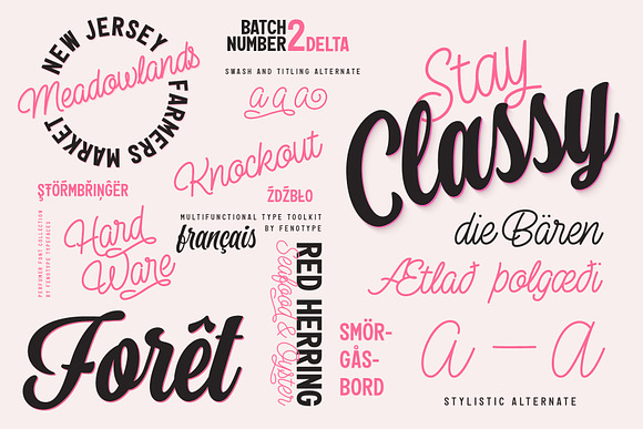 Perfume Font Bundle in Display Fonts - product preview 3