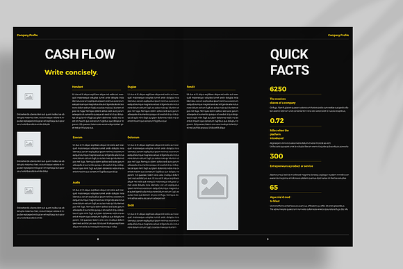 Black and Yellow Brochure in Brochure Templates - product preview 5