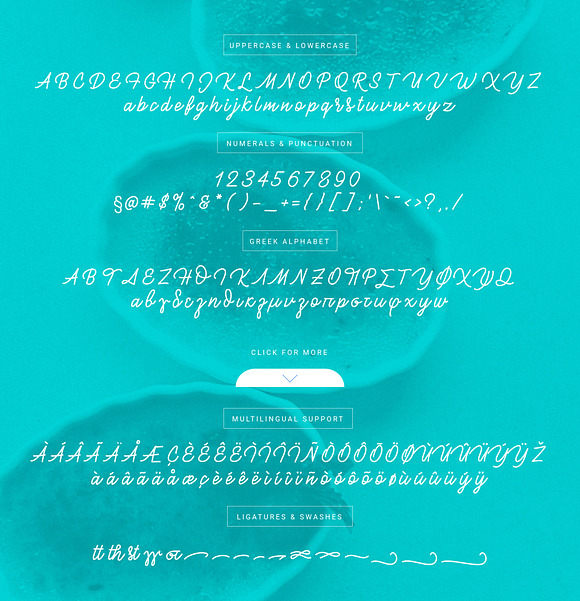 Brulée Monoline Script in Greek Fonts - product preview 2