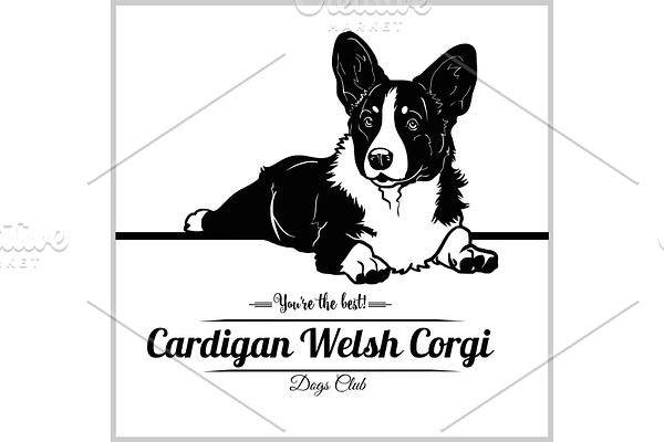 Cardigan Welsh Corgi Dog - vector