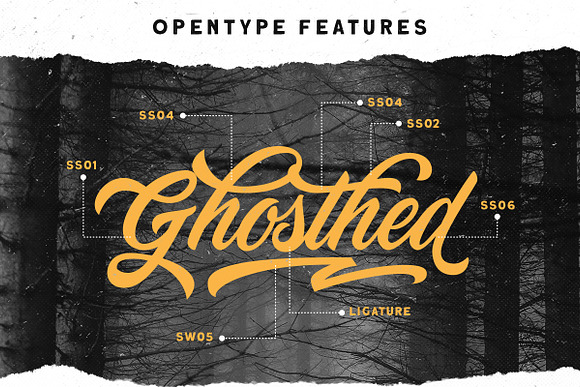 Devilion - Hand Lettering Script in Display Fonts - product preview 5
