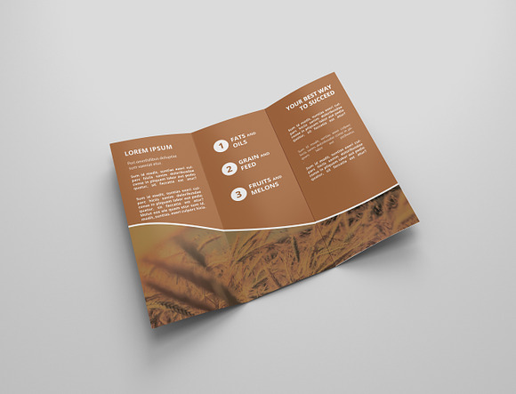 Agriculture Tri-fold Brochures in Brochure Templates - product preview 1