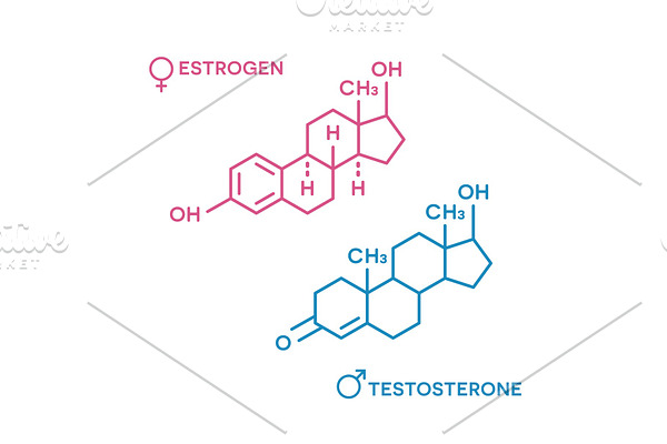 Estrogen and testosterone hormones