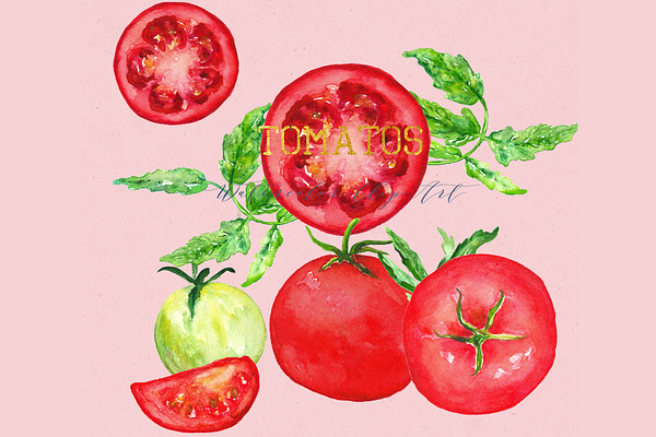 Tomatos. Watercolor Clip art.