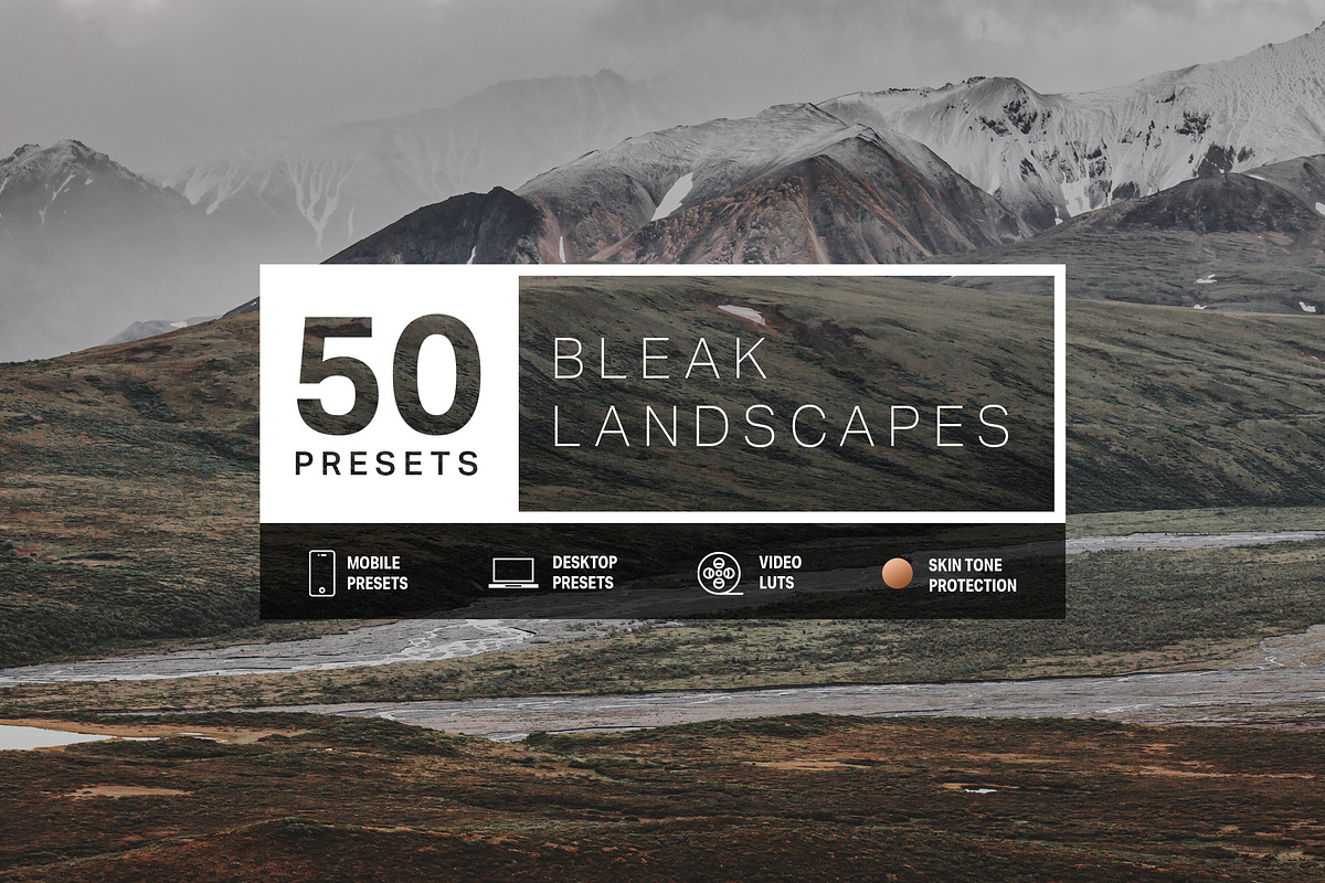 50 Bleak Lightroom Presets + LUTs in Add-Ons - product preview 8