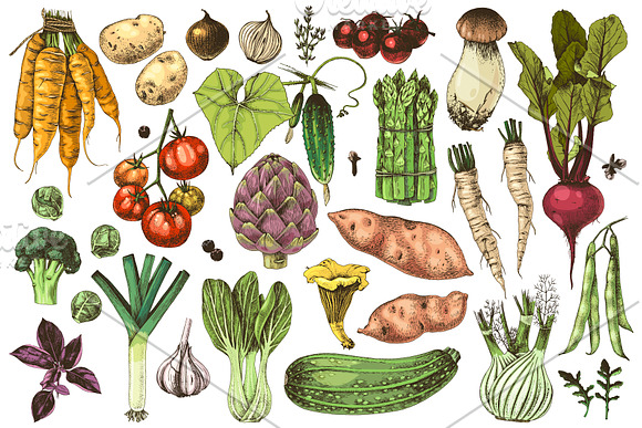 Vegetables super set in Illustrations - product preview 7