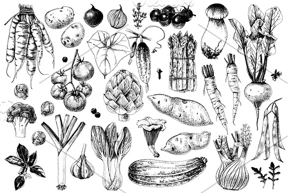 Vegetables super set in Illustrations - product preview 8