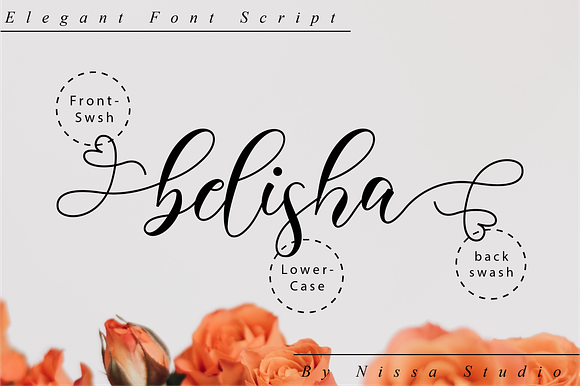 Belisha Script in Script Fonts - product preview 9