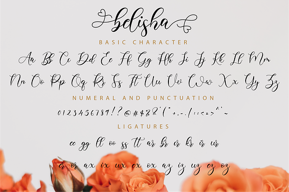 Belisha Script in Script Fonts - product preview 10