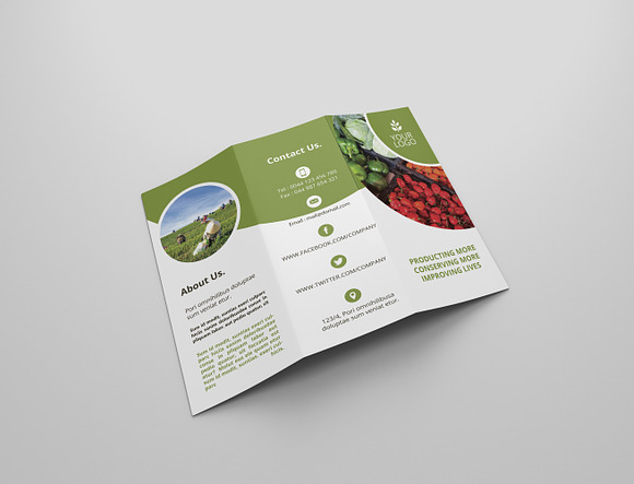 6 Agriculture Tri Fold Bochures in Brochure Templates - product preview 1