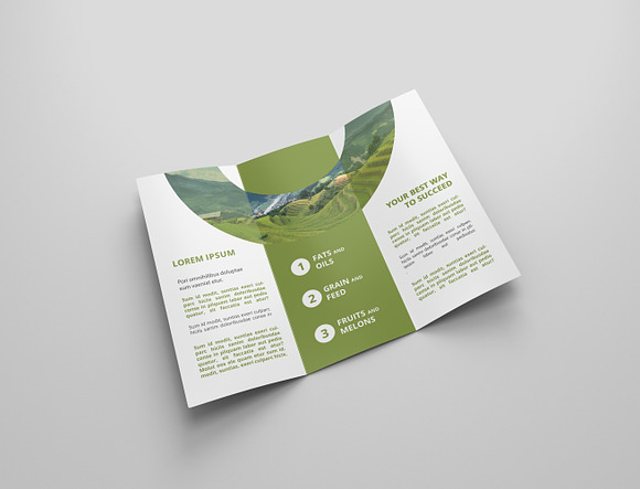6 Agriculture Tri Fold Bochures in Brochure Templates - product preview 2