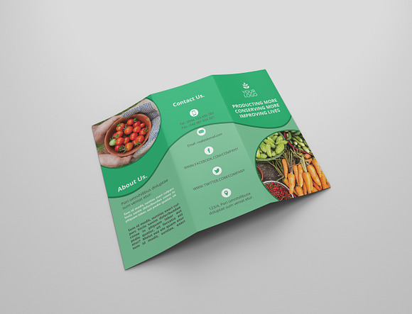 6 Agriculture Tri Fold Bochures in Brochure Templates - product preview 4