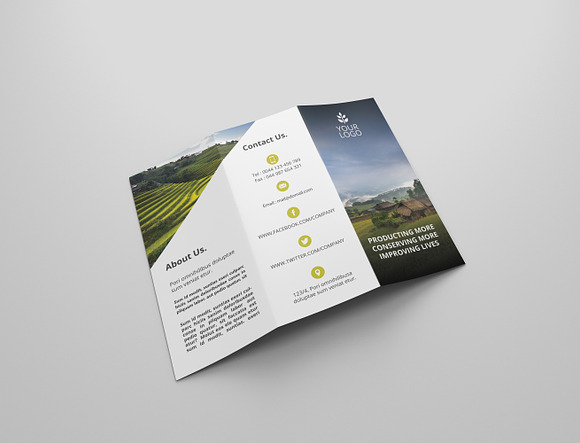 6 Agriculture Tri Fold Bochures in Brochure Templates - product preview 5