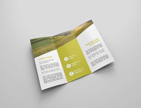 6 Agriculture Tri Fold Bochures in Brochure Templates - product preview 6