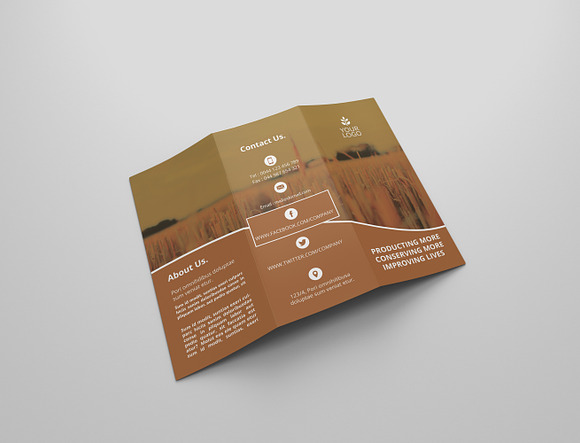 6 Agriculture Tri Fold Bochures in Brochure Templates - product preview 8