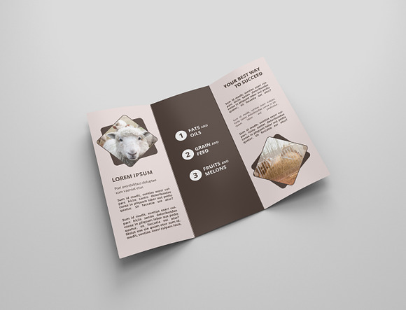 6 Agriculture Tri Fold Bochures in Brochure Templates - product preview 9