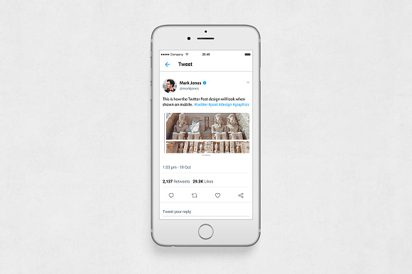 Ancient Twitter Posts in Twitter Templates - product preview 4