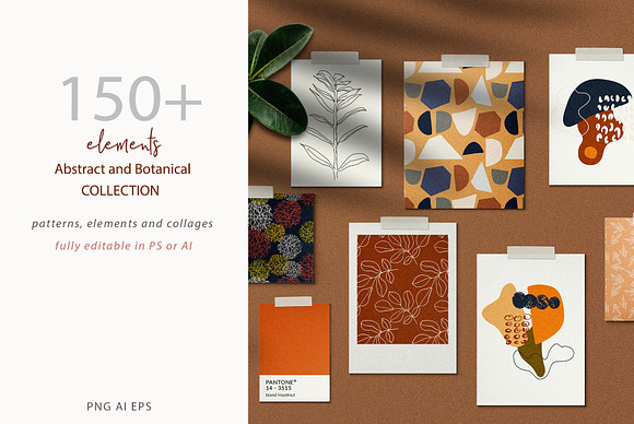 DIY Abstract+ Botanical Collection in Illustrations - product preview 1