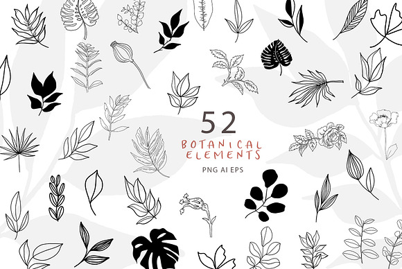 DIY Abstract+ Botanical Collection in Illustrations - product preview 5