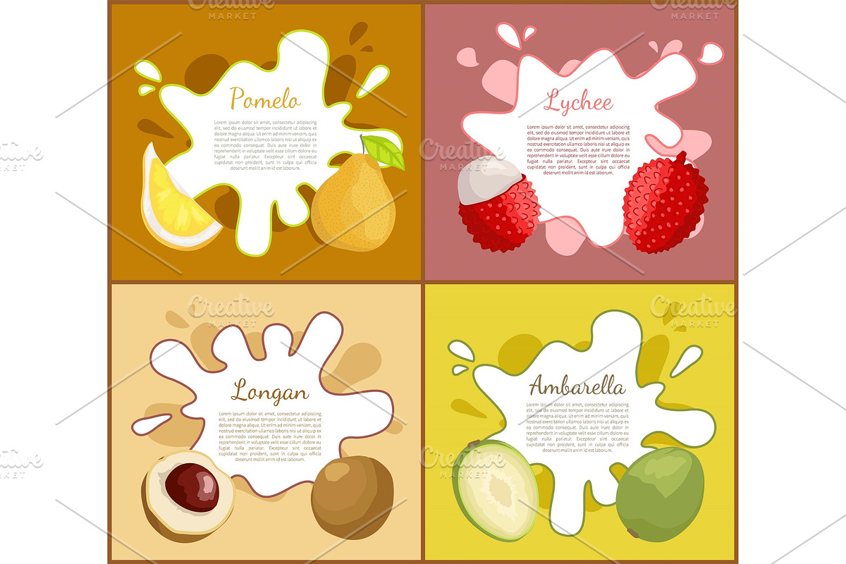 Pomelo and Lychee Longan Set Vector in Illustrations - product preview 8