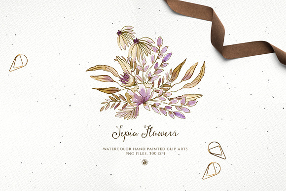 Sepia Flowers in Illustrations - product preview 1