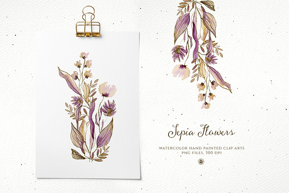 Sepia Flowers in Illustrations - product preview 2