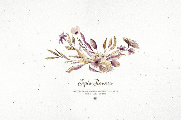 Sepia Flowers in Illustrations - product preview 5
