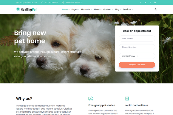 HealthyPet - Pet Care HTML Template in Bootstrap Themes - product preview 1