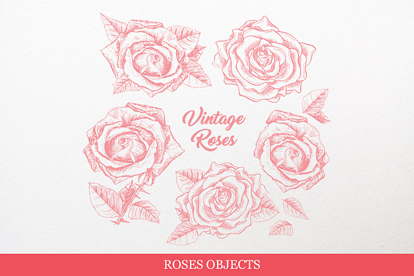 Roses Vintage Collection in Graphics - product preview 3