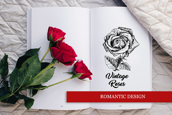 Roses Vintage Collection in Graphics - product preview 5
