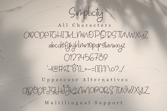 Simplicity - Handwritten Font in Display Fonts - product preview 6