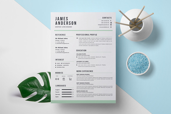 Resume in Letter Templates - product preview 1