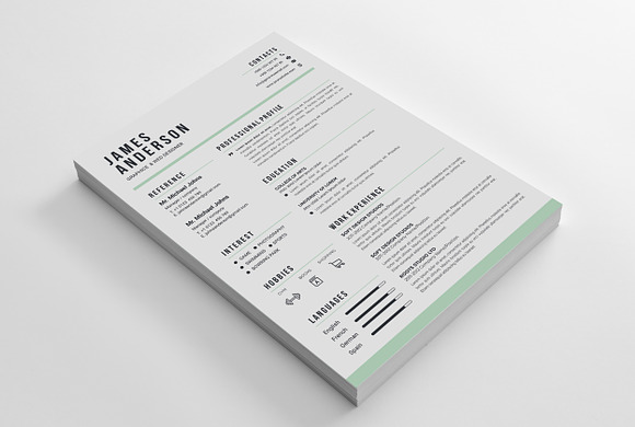 Resume in Letter Templates - product preview 2