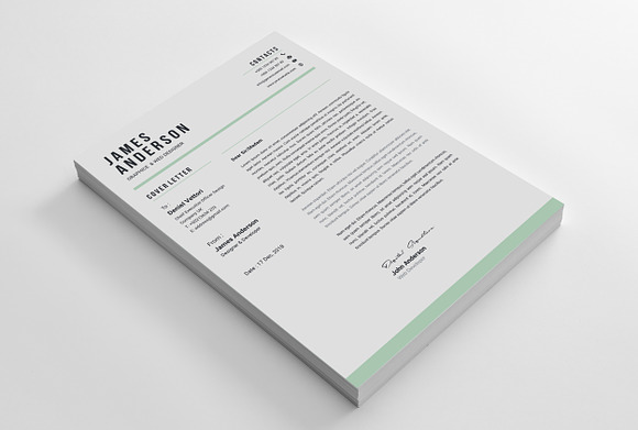 Resume in Letter Templates - product preview 5