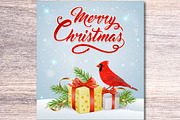 Christmas Gift and Cardinal Bird