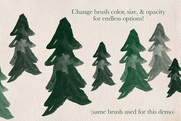 Painted Pine Trees - PS Brushes in Photoshop Brushes - product preview 3